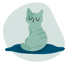 icon_cat01