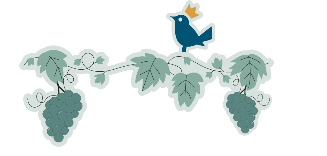 vigneti